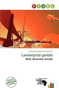 lasionycta gelida