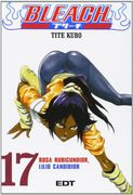 Bleach 17 (2ª Ed. )