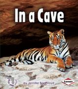 in a cave (en Inglés)