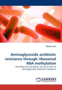 aminoglycoside antibiotic resistance through ribosomal rna methylation