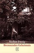 Brennendes Geheimnis (Fiction, Poetry & Drama) (en Alemán)