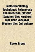 molecular biology techniques: polymerase chain reaction, plasmid, southern blot, northern blot, gene knockout, western blot, cell culture