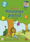 Guia Básica. Metodología Práctica 2 (in Spanish)