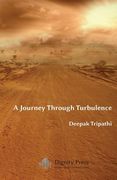 A Journey Through Turbulence (en Inglés)