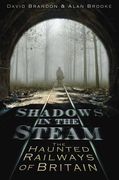 shadows in the steam