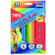 Lápides Color Mega Acuarelable 36 colores