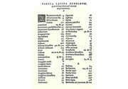 historia de yerbas y plantas