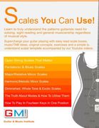 Scales You Can Use!: Learn to truly understand the patterns guitarists need for soloing, sight reading and general musicianship regardless of musical ... exercises. (GMI - Guitar & Music Institute)
