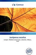 juniperus excelsa (en Inglés)