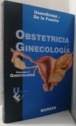 Obstetricia y ginecología Tomo 2 Ginecología