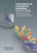 Fundamentos de Econometria Intermedia  Teoria y Aplicaciones