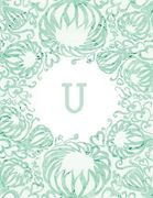 U (en Inglés)