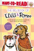 The Big Book of Elvis & Romeo: Elvis & Romeo Go to Dog School; Elvis & Romeo Visit the Vet; Elvis & Romeo and the New Stuffie (en Inglés)