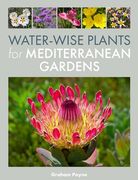 Water-Wise Plants for Mediterranean Gardens