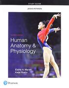 Study Guide for Human Anatomy & Physiology (en Inglés)