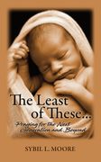 The Least of These: Praying for the Next Generation and Beyond (en Inglés)