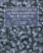 effective theory of quantum gravity: soluble sector (en Inglés)