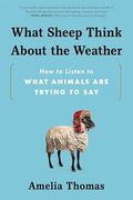 What Sheep Think About the Weather: How to Listen to What Animals are Trying to say (en Inglés)