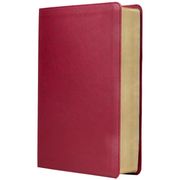 RVR, Biblia de estudio trasfondo cultural, Tapa dura, Interior a color, Comfort Print: Explora el mundo antiguo de la Escritura (Spanish Edition)