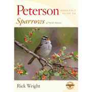 Peterson Reference Guide to Sparrows of North America (Peterson Reference Guides) 