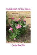 Sunshine of My Soul (en Inglés)