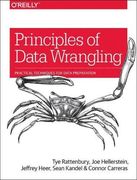 Principles of Data Wrangling: Practical Techniques for Data Preparation (en Inglés)