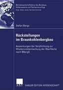 Rückstellungen im Braunkohlenbergbau: Auswirkungen der Verpflichtung zur Wiedernutzbarmachung der Oberfläche nach BBergG (Betriebswirtschaftslehre des Bergbaus, Hüttenwesens und Flächenrecyclings)