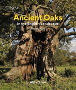 Ancient Oaks in the English Landscape (en Inglés)