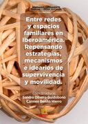 Entre Redes y Espacios Familiares en Iberoam�Rica. Repensando Estrategias, Mecanismos e Idearios de Supervivencia y Movilidad.