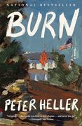 Burn: A Novel (Vintage Contemporaries)