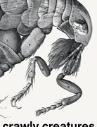 Crawly Creatures: Depiction and Appreciation of Insects and Other Critters in art and Science (en Inglés)