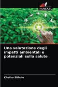 Una valutazione degli impatti ambientali e potenziali sulla salute (en Italiano)
