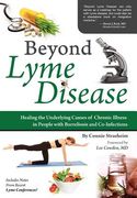 beyond lyme disease: healing the underlying causes of chronic illness in people with borreliosis and co-infections