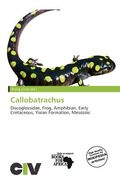 callobatrachus (en Inglés)