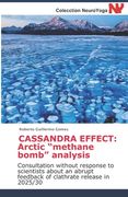 Cassandra Effect: Arctic "methane bomb" analysis: Consultation without response to scientists about an abrupt feedback of clathrate rele (en Inglés)