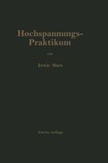Hochspannungs-Praktikum (German Edition)