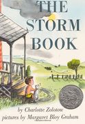 the storm book