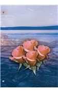 Los Mejores Poemas de Amor