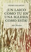¡Un laico como tú en una Iglesia como ésta! (POPULAR)