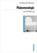 Phänomenologie zur Einführung (in German)