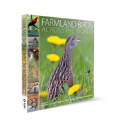 Farmland Birds Across the World (en Inglés)