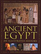 Ancient Egypt: An Illustrated History (en Inglés)
