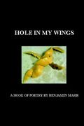 hole in my wings