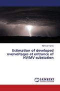 Estimation of developed overvoltages at entrance of HV/MV substation