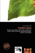 fundus (eye) (en Inglés)