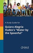 A Study Guide for Quiara Alegria Hudes's Water by the Spoonful (en Inglés)