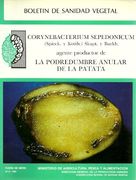 la podredumbre anular de la patata -desc-