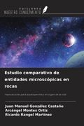 Estudio comparativo de entidades microscópicas en rocas. Implicaciones para la panspermia y el origen de la vida