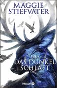 Wo das Dunkel Schläft (Raven Boys, Band 4) (en Alemán)