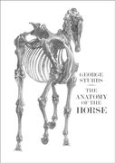 The Anatomy of the Horse (en Inglés)